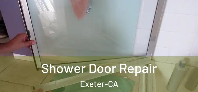  Shower Door Repair Exeter-CA